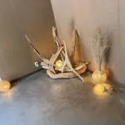 yopipi_の画像