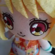 おおいの画像
