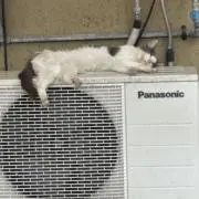 ないとぅ