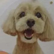 おじゃる丸