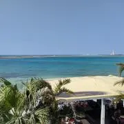 さかなの画像