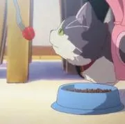 山田の画像