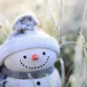 みんゆの画像