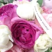 Machikoの画像