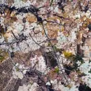 スパーク【6月まとめ購入セール中】の画像