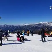 たかの画像