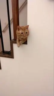 akiangel♡の画像