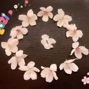 RSale→ 値下げ交渉可能ですの画像