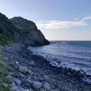 ☆かつ☆