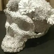 カペオの画像