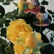 青空スカイの画像