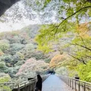 えりりんの画像
