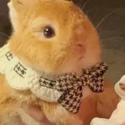 め