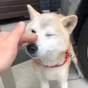 Patrickの画像