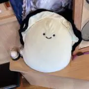 みっどの画像