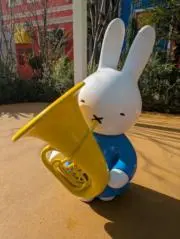 pikoの画像