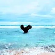 VIIの画像