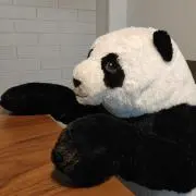 我が家のパンダの画像