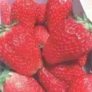 いちご♡♡の画像