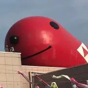 あさりの画像