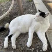 fuji_いまりの画像