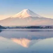 Nの画像