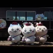 みんみんの画像