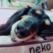 nutsの画像