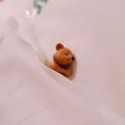 s.の画像