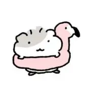 ghjdv_jy