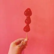 ピノの画像