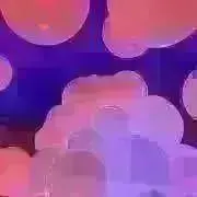M・J プロフ必読の画像