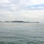 Kayの画像