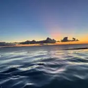 koの画像