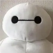 いなくまの画像