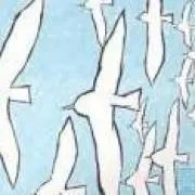 ちたの画像