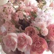 ella's shopの画像