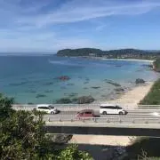 シロクマの画像