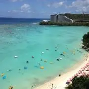 タロの画像