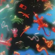tatami iwashiの画像
