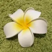 Rの画像