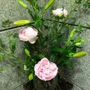 山田の画像