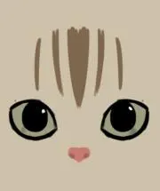 茶トラのとら