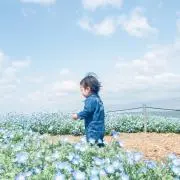 なっちゃん