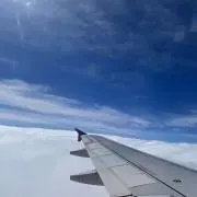 アルフの画像