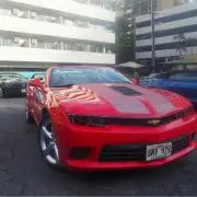 カーズの画像