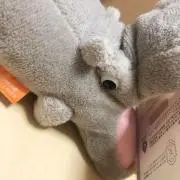 アリカ