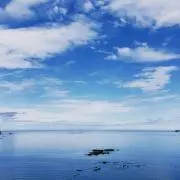 cloverの画像