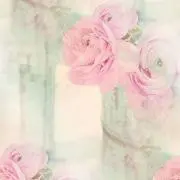 Ree.の画像