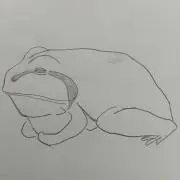 マーの画像
